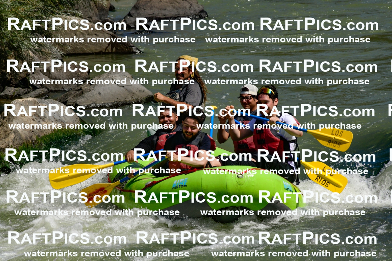 011123_Raftpics_September-08__LOS_RIOS__Racecourse_AM_KA_Shay_KLA0768