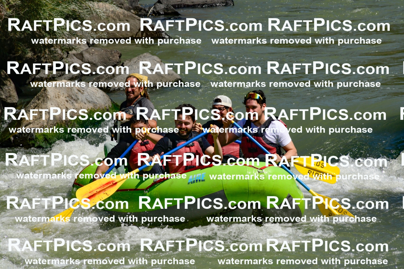 011124_Raftpics_September-08__LOS_RIOS__Racecourse_AM_KA_Shay_KLA0769