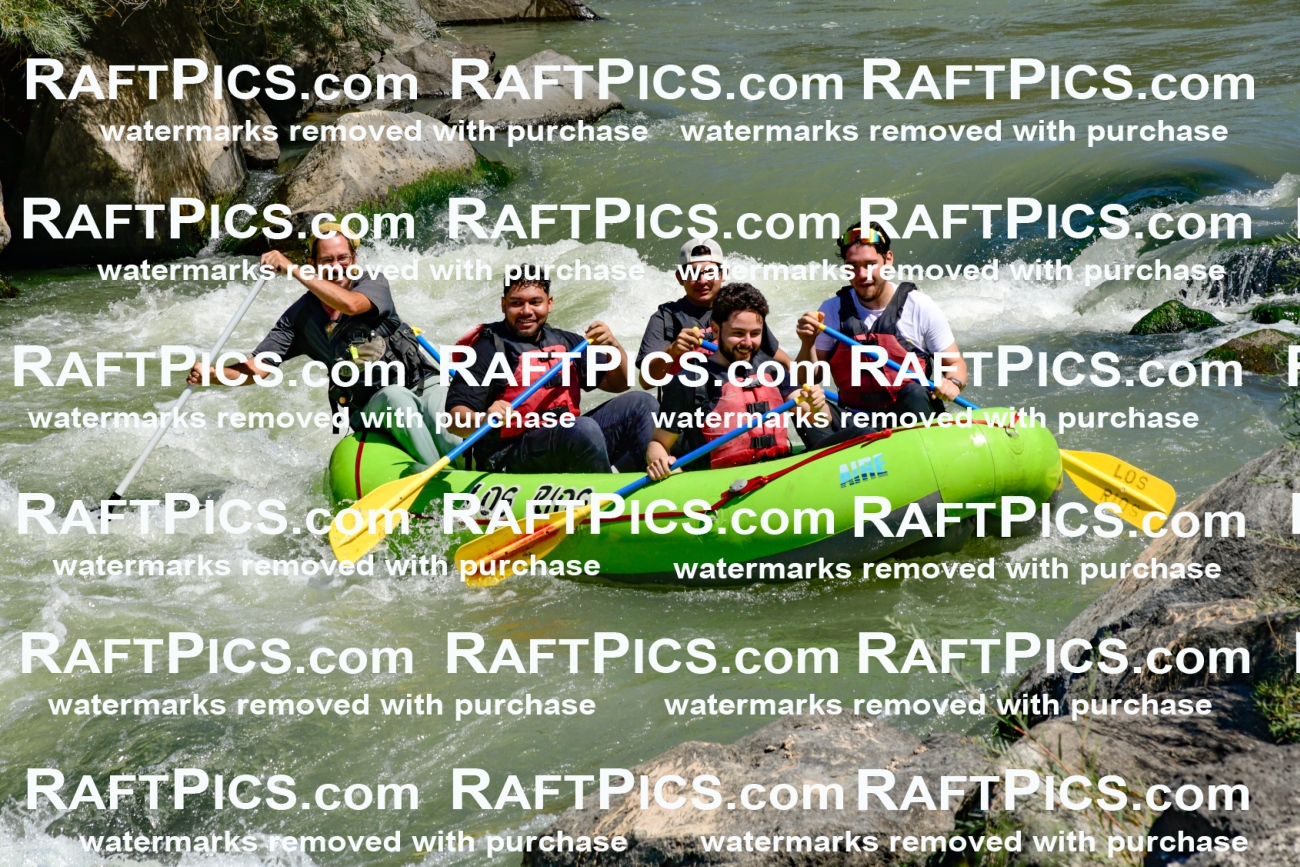 011128_Raftpics_September-08__LOS_RIOS__Racecourse_AM_KA_Shay_KLA0773