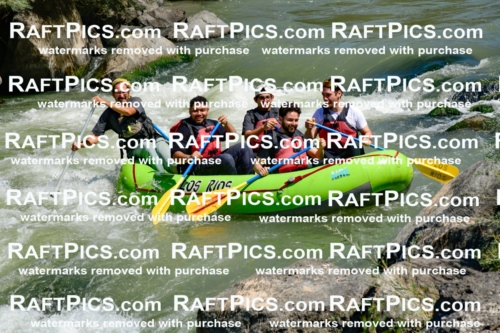 011129_Raftpics_September-08__LOS_RIOS__Racecourse_AM_KA_Shay_KLA0774