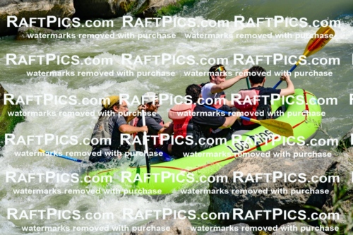 011132_Raftpics_September-08__LOS_RIOS__Racecourse_AM_KA_Shay_KLA0777