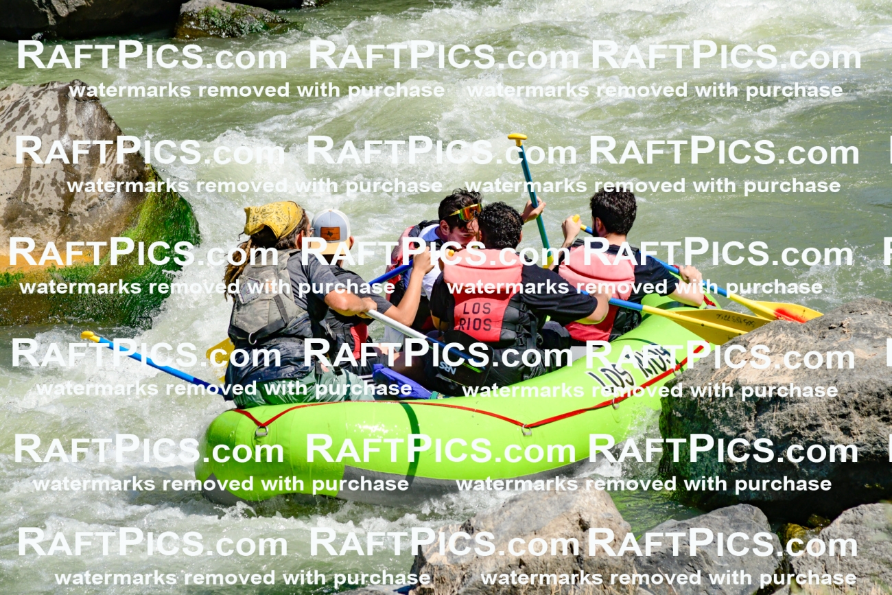 011133_Raftpics_September-08__LOS_RIOS__Racecourse_AM_KA_Shay_KLA0778