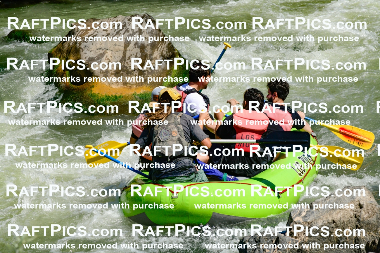 011134_Raftpics_September-08__LOS_RIOS__Racecourse_AM_KA_Shay_KLA0779