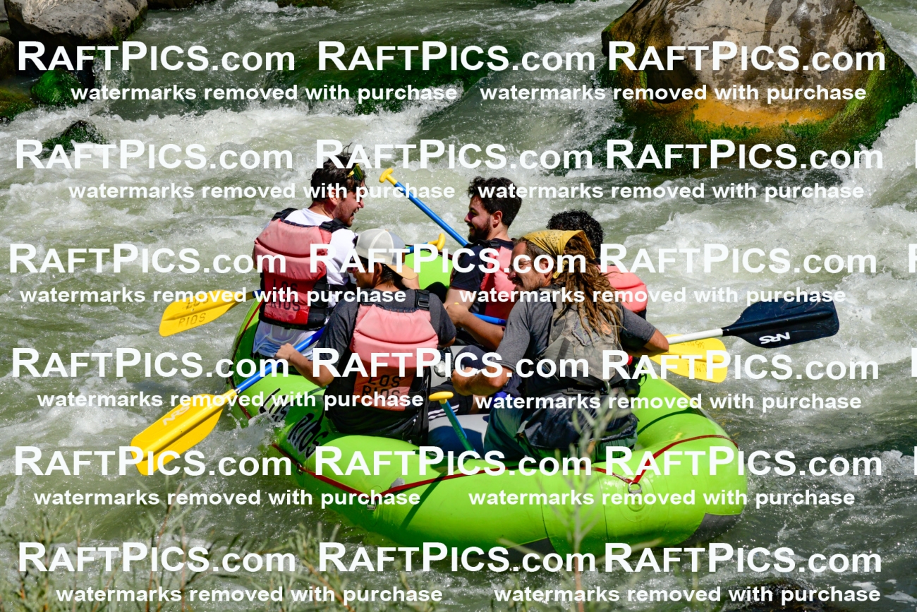 011137_Raftpics_September-08__LOS_RIOS__Racecourse_AM_KA_Shay_KLA0782