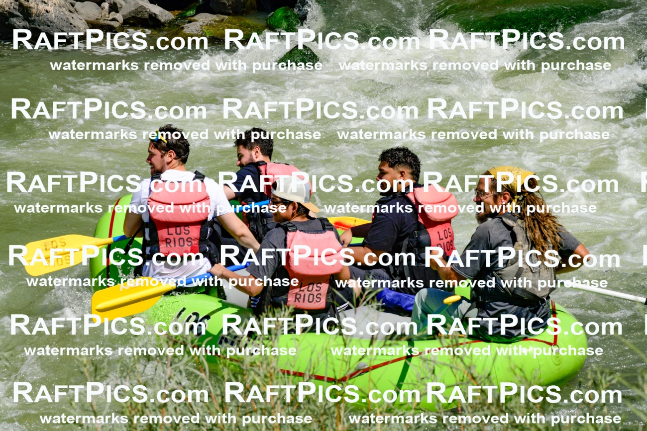 011138_Raftpics_September-08__LOS_RIOS__Racecourse_AM_KA_Shay_KLA0783