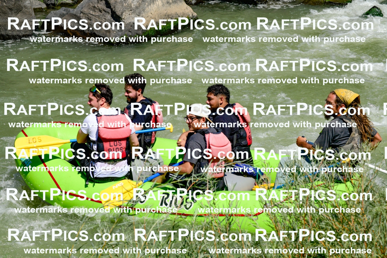 011140_Raftpics_September-08__LOS_RIOS__Racecourse_AM_KA_Shay_KLA0785