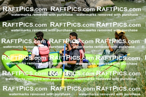 011141_Raftpics_September-08__LOS_RIOS__Racecourse_AM_KA_Shay_KLA0786