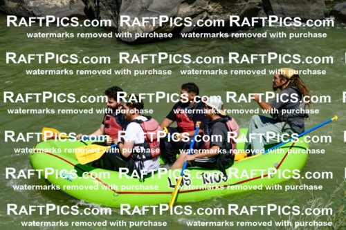 011142_Raftpics_September-08__LOS_RIOS__Racecourse_AM_KA_Shay_KLA0787