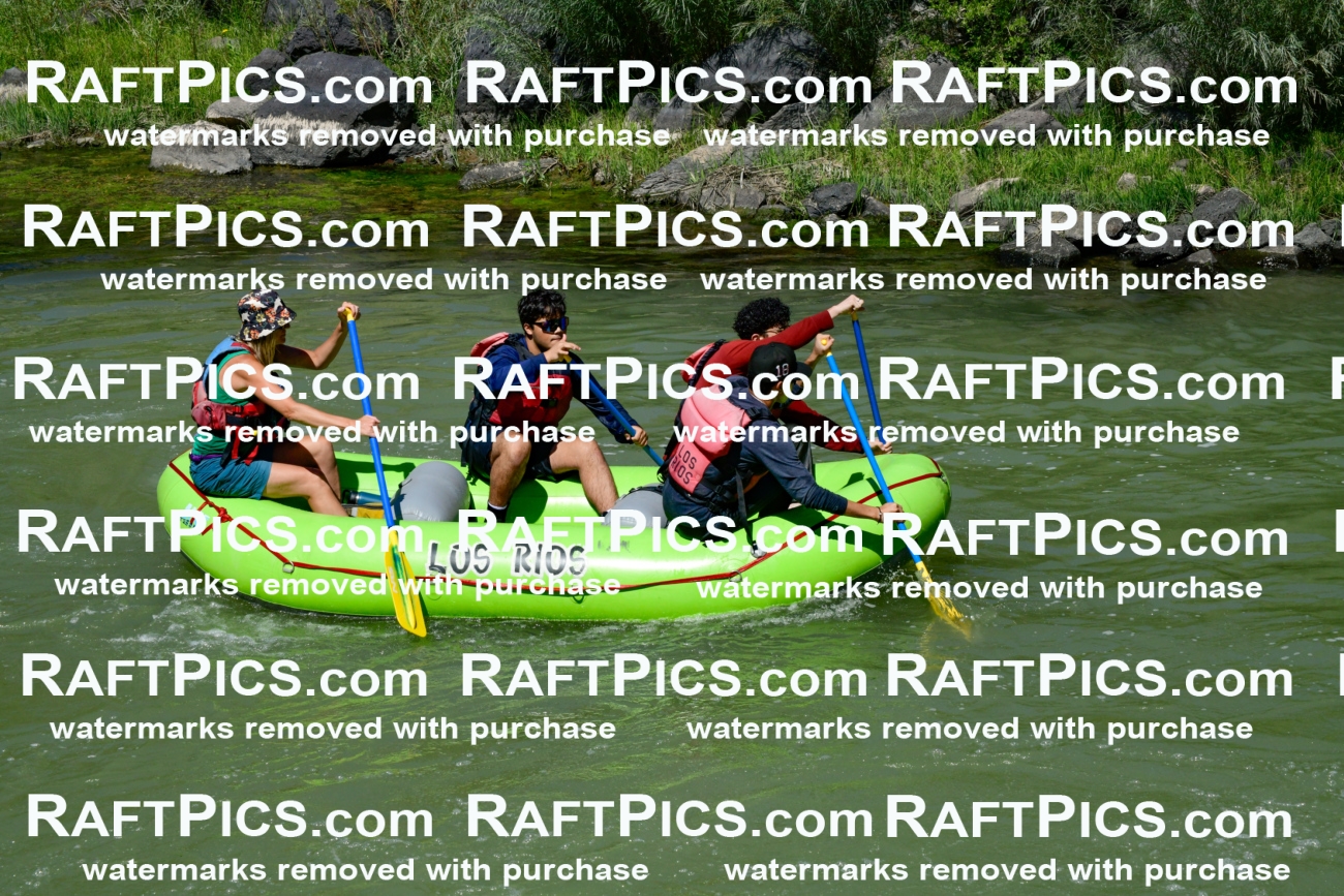 011143_Raftpics_September-08__LOS_RIOS__Racecourse_AM_KA_Shay_KLA0788