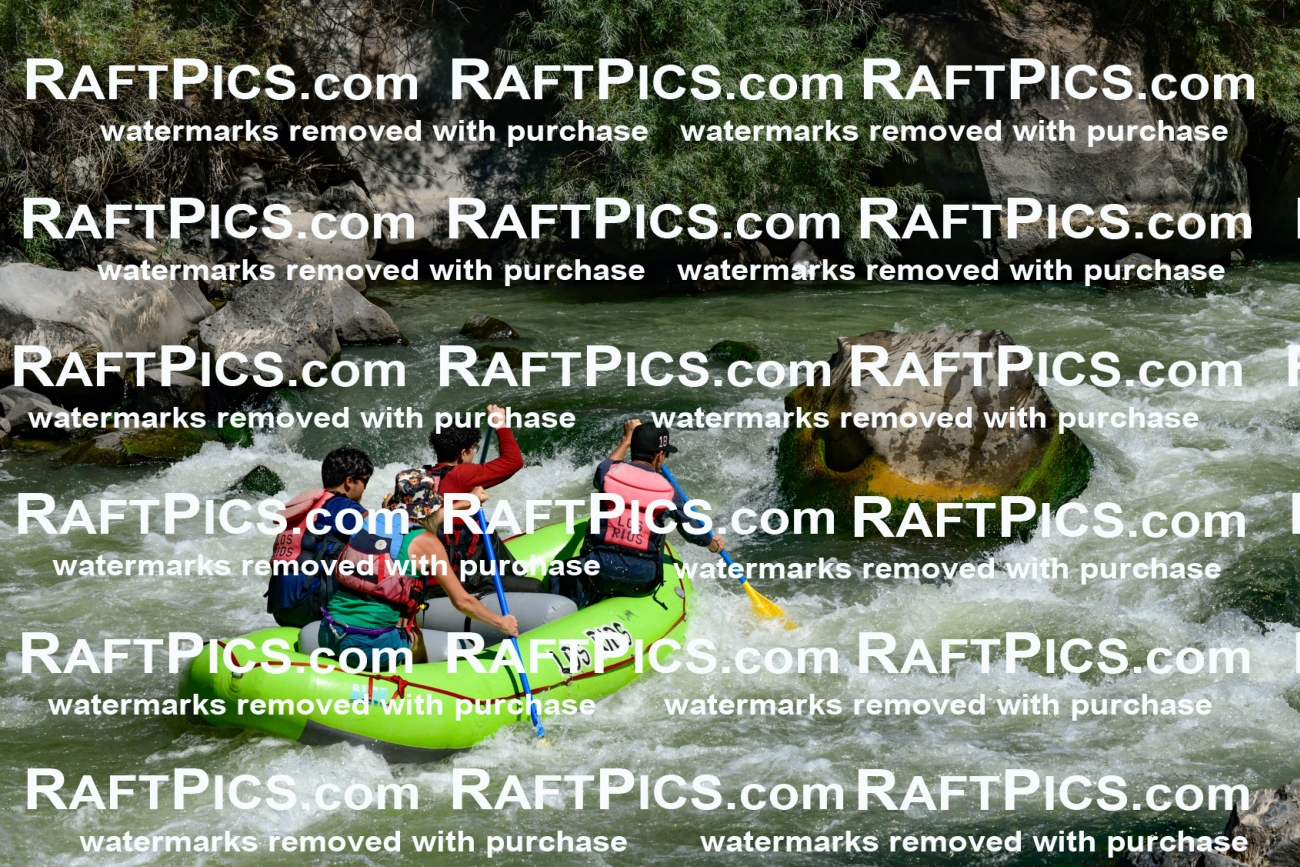 011145_Raftpics_September-08__LOS_RIOS__Racecourse_AM_KA_Shay_KLA0790