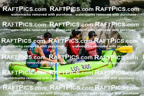 011146_Raftpics_September-08__LOS_RIOS__Racecourse_AM_KA_Shay_KLA0791