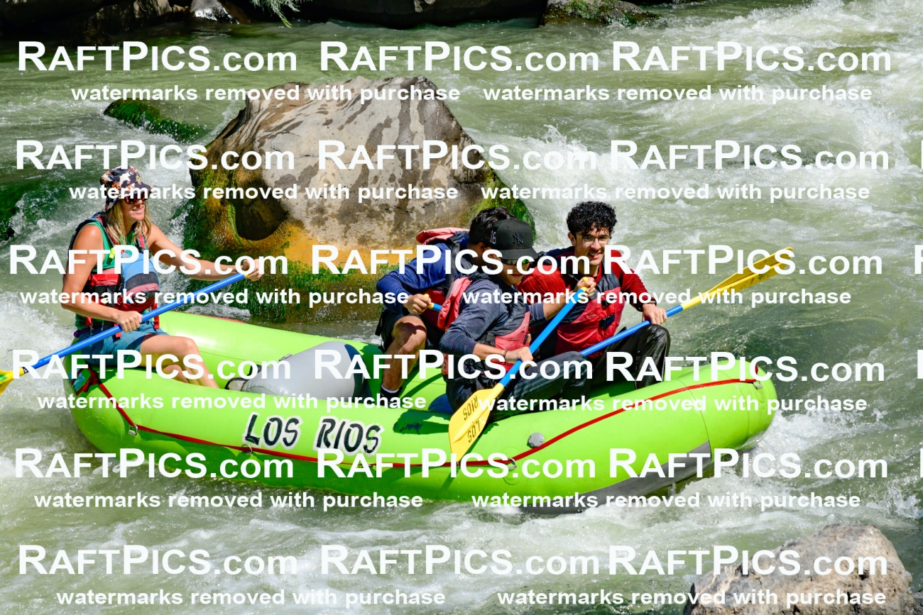 011147_Raftpics_September-08__LOS_RIOS__Racecourse_AM_KA_Shay_KLA0792