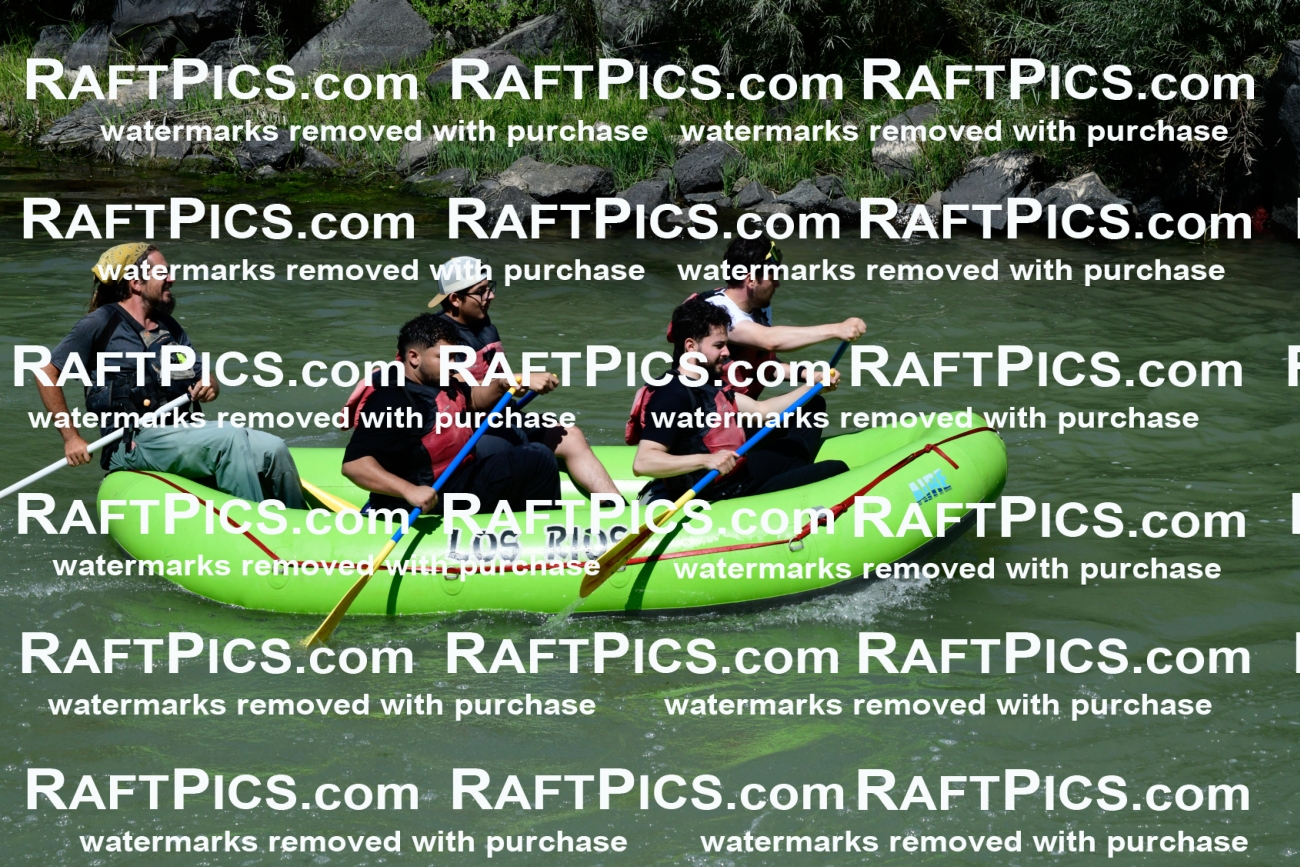 011149_Raftpics_September-08__LOS_RIOS__Racecourse_AM_KA_Shay_KLA0794