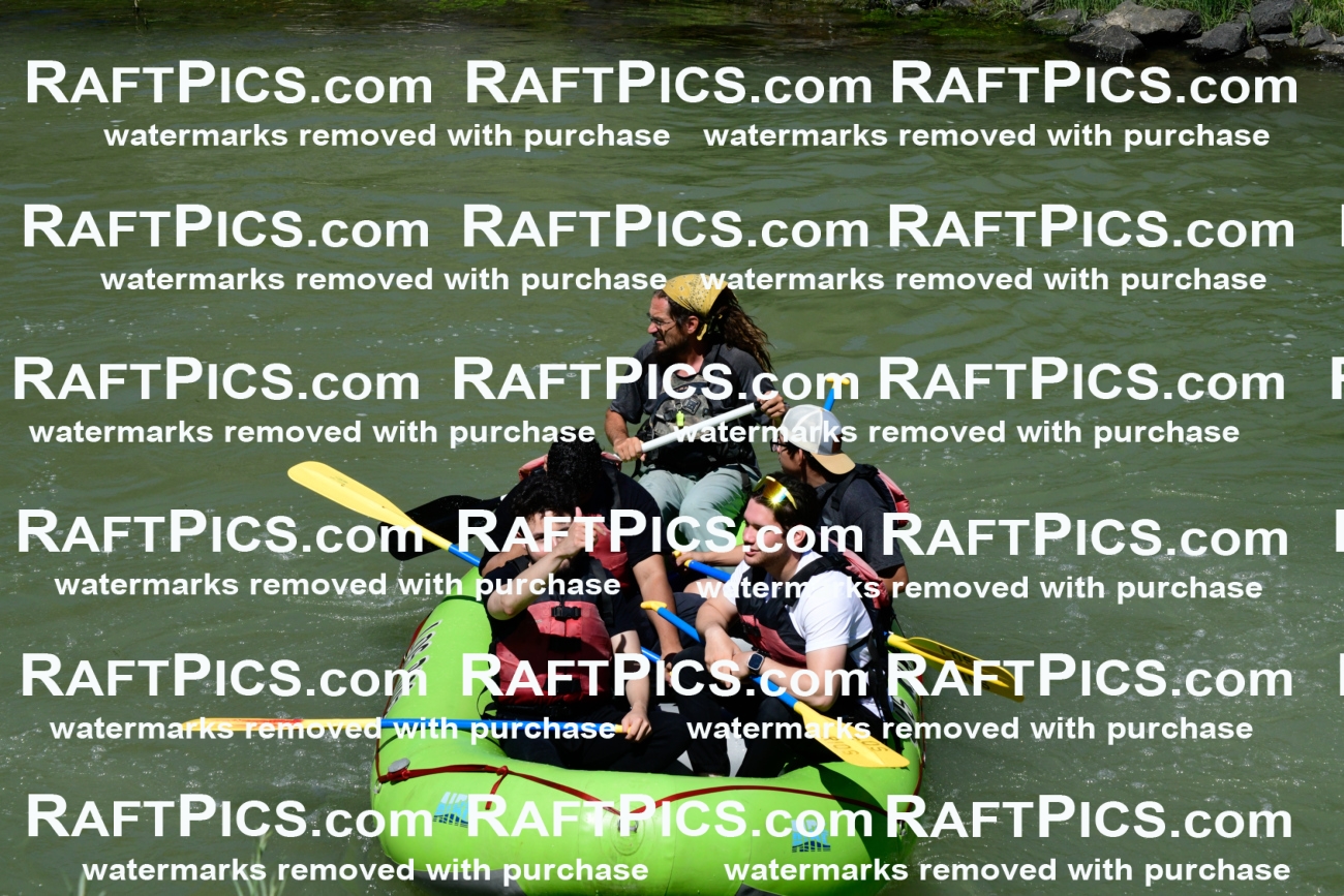 011152_Raftpics_September-08__LOS_RIOS__Racecourse_AM_KA_Shay_KLA0797