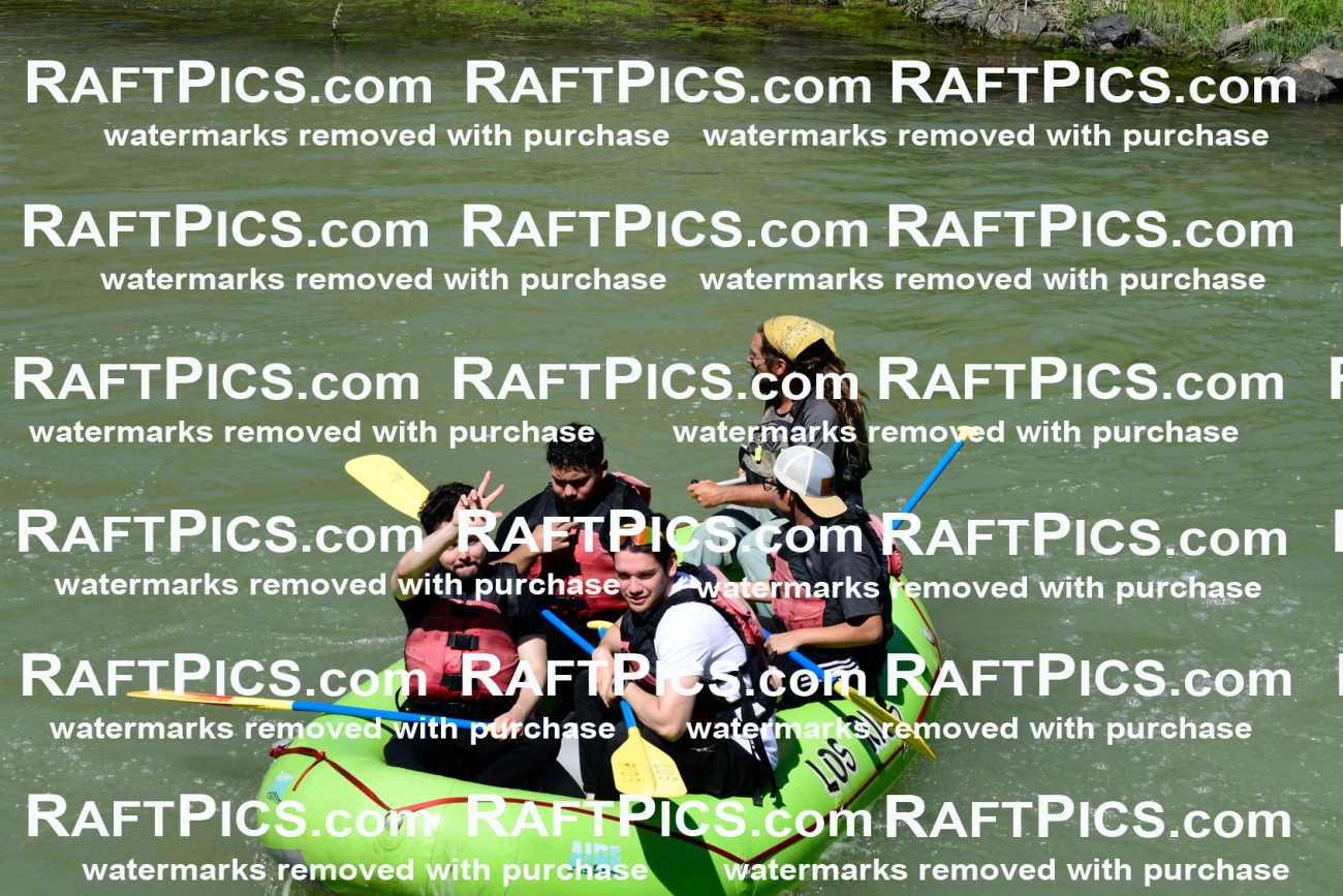 011153_Raftpics_September-08__LOS_RIOS__Racecourse_AM_KA_Shay_KLA0798