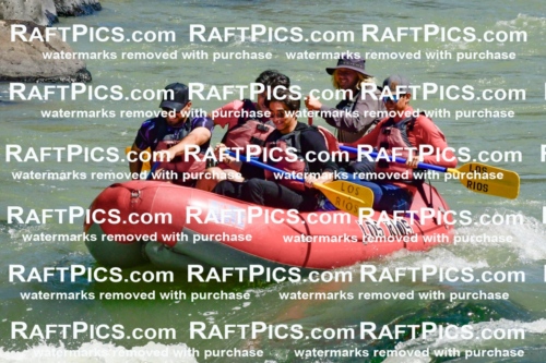 011154_Raftpics_September-08__LOS_RIOS__Racecourse_AM_KA_Zack_KLA0725