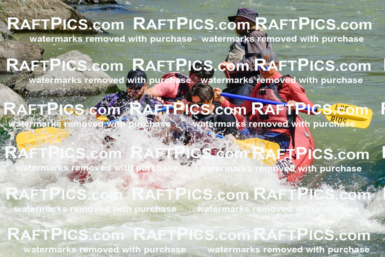 011159_Raftpics_September-08__LOS_RIOS__Racecourse_AM_KA_Zack_KLA0730