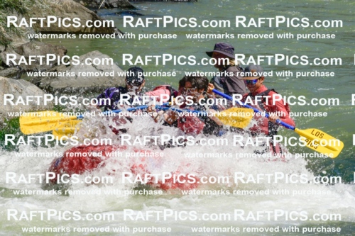 011160_Raftpics_September-08__LOS_RIOS__Racecourse_AM_KA_Zack_KLA0731