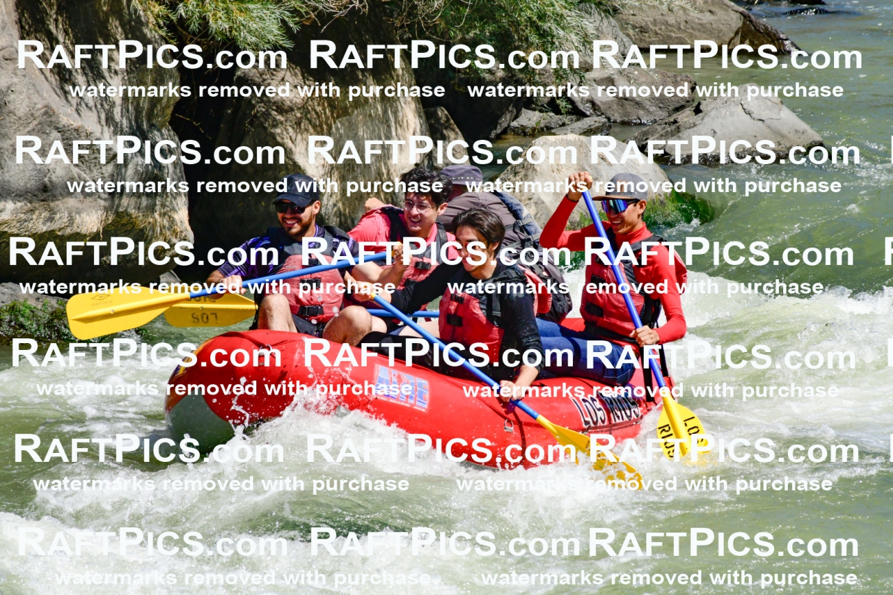 011163_Raftpics_September-08__LOS_RIOS__Racecourse_AM_KA_Zack_KLA0734