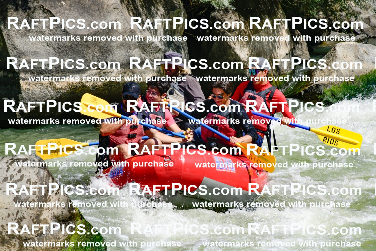 011166_Raftpics_September-08__LOS_RIOS__Racecourse_AM_KA_Zack_KLA0737