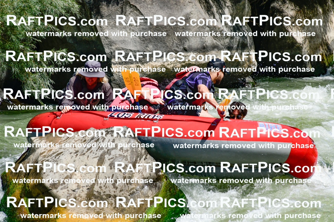 011170_Raftpics_September-08__LOS_RIOS__Racecourse_AM_KA_Zack_KLA0741