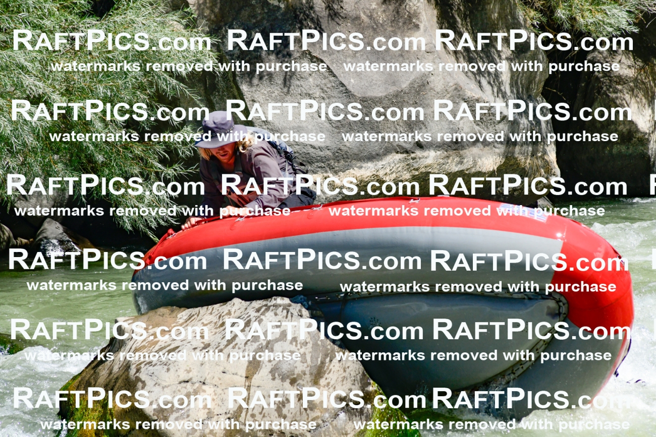 011175_Raftpics_September-08__LOS_RIOS__Racecourse_AM_KA_Zack_KLA0746