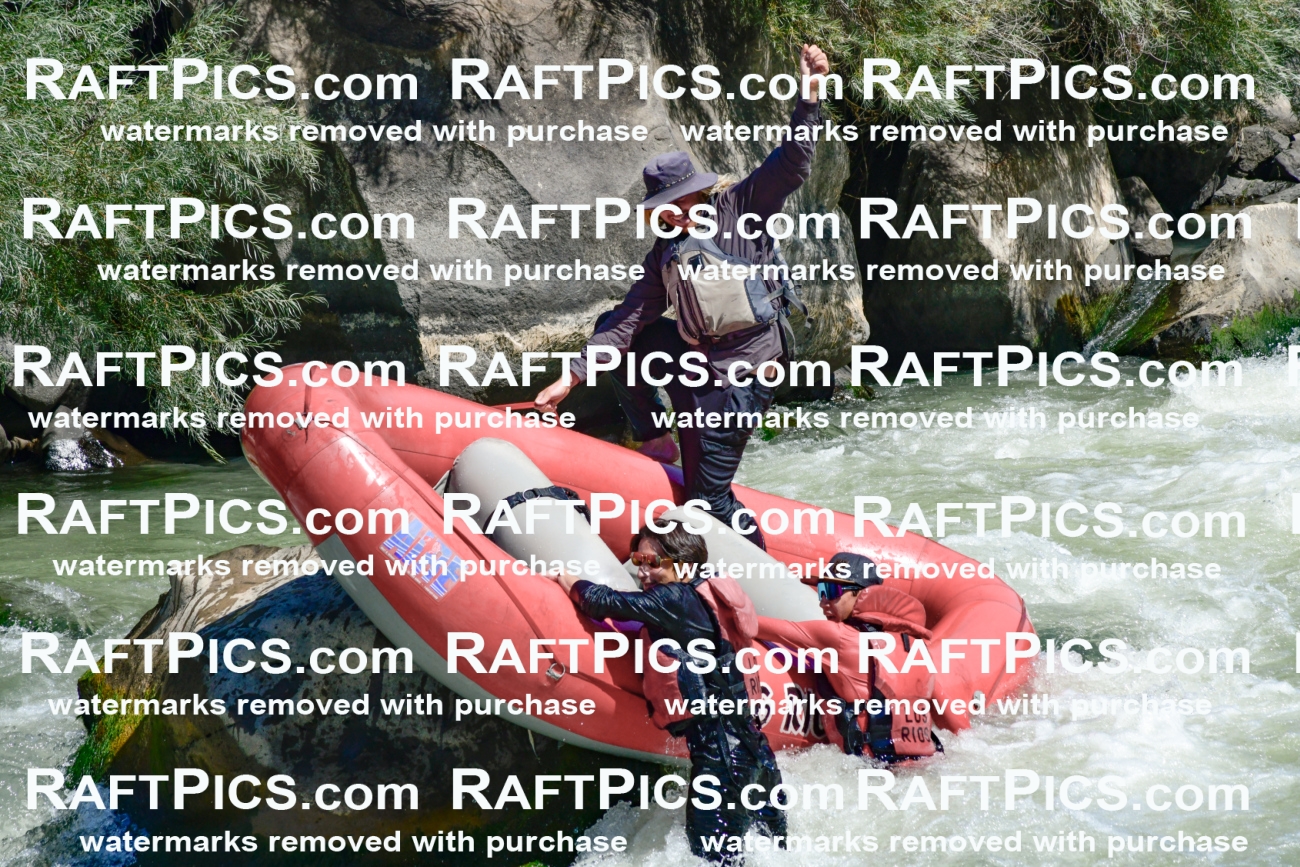 011183_Raftpics_September-08__LOS_RIOS__Racecourse_AM_KA_Zack_KLA0754