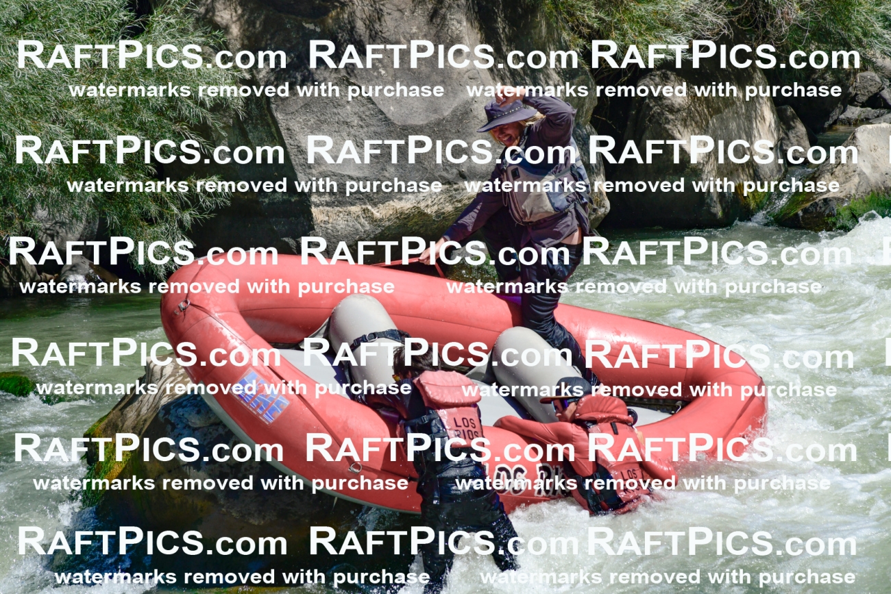 011185_Raftpics_September-08__LOS_RIOS__Racecourse_AM_KA_Zack_KLA0756