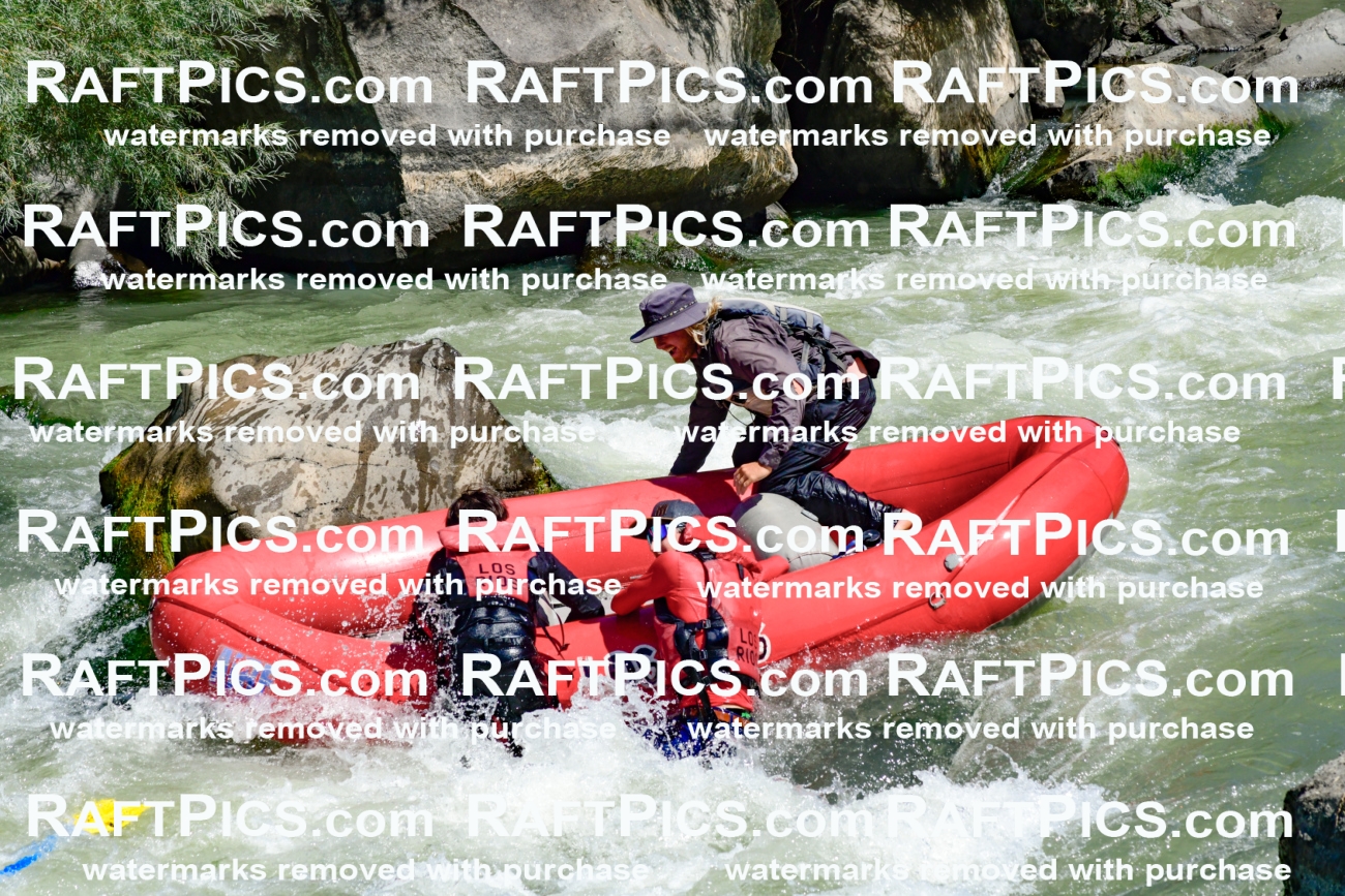 011186_Raftpics_September-08__LOS_RIOS__Racecourse_AM_KA_Zack_KLA0757