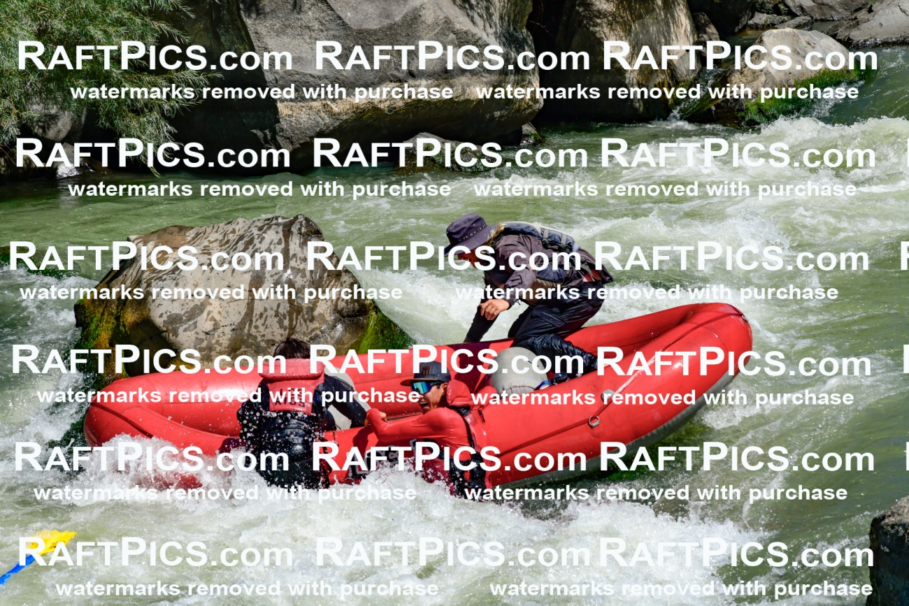 011187_Raftpics_September-08__LOS_RIOS__Racecourse_AM_KA_Zack_KLA0758