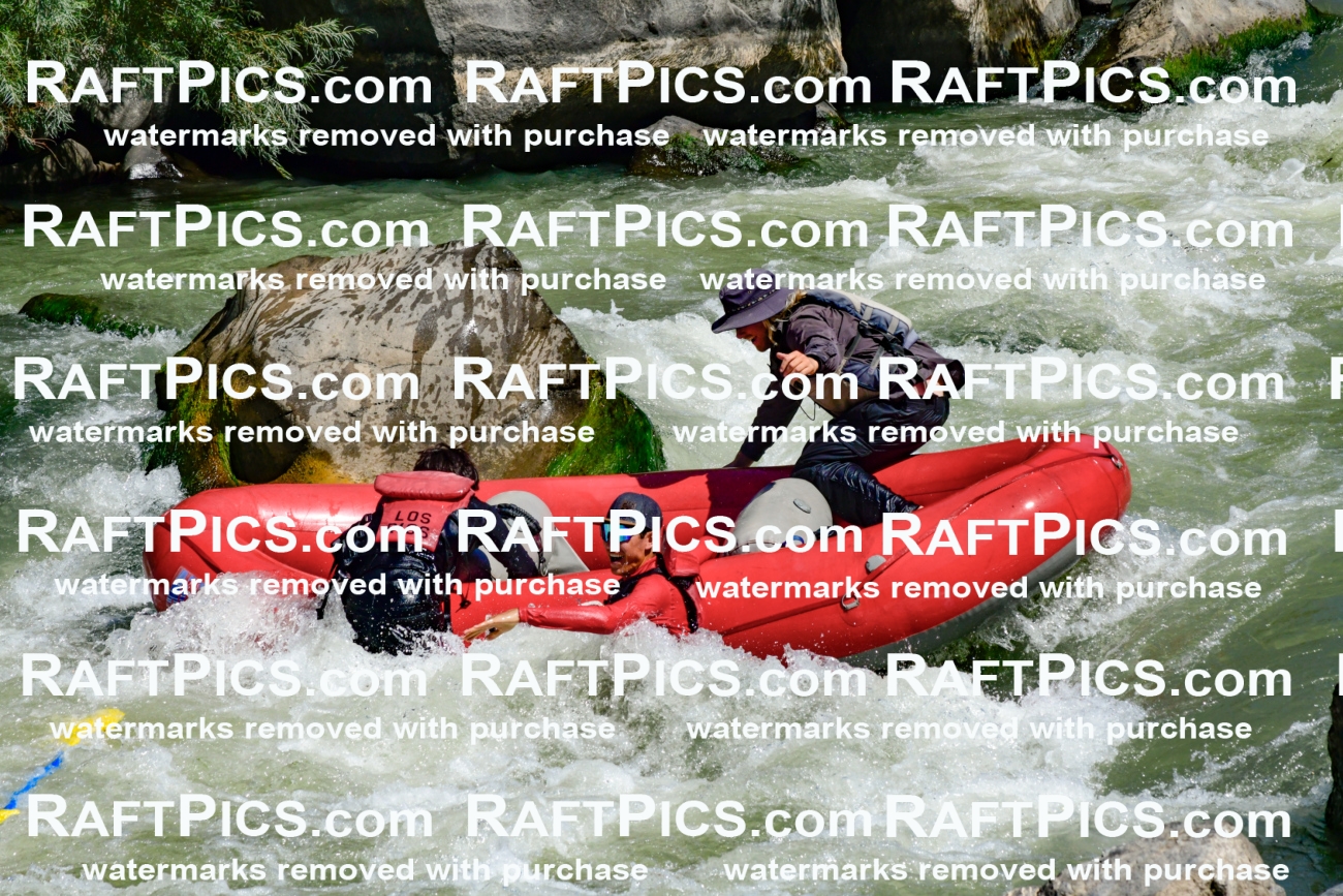 011188_Raftpics_September-08__LOS_RIOS__Racecourse_AM_KA_Zack_KLA0759