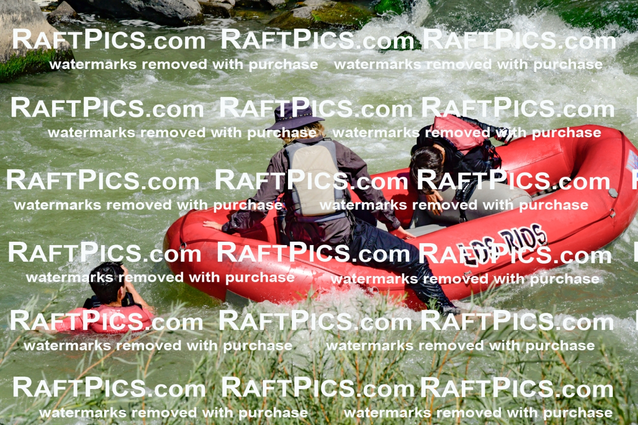 011191_Raftpics_September-08__LOS_RIOS__Racecourse_AM_KA_Zack_KLA0762