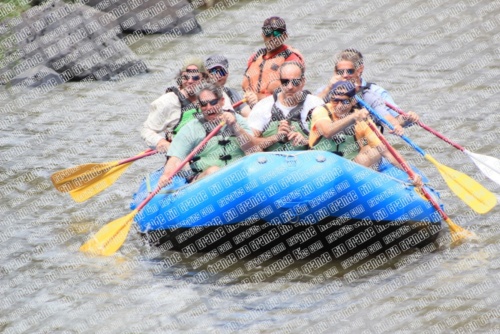 002689_RaftPics_BIG-RIVER_June-9_Racecourse-PM_HLYIMG_6977